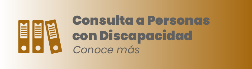 Imagen que te permite conocer la consulta a Personas con Discapacidad